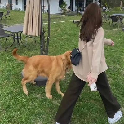 妙探乌龙记